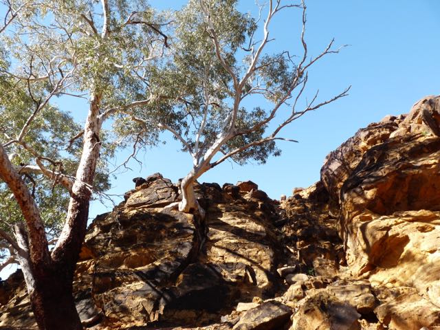 Writing about place
