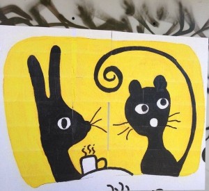 Cat & rabbit (bunny possum)